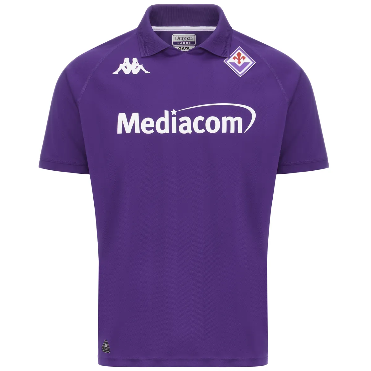 Mor Kombat 2025 Fiorentina Home Erkek Mor Regular Forma