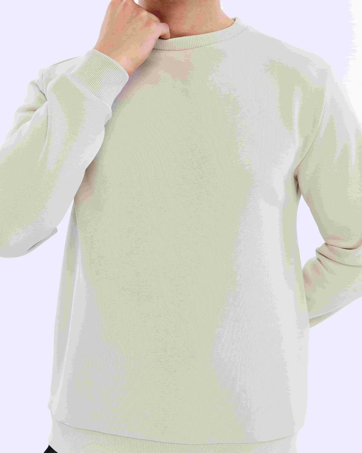 Gri Tonnio Erkek Gri Regular Fit Sweatshirt