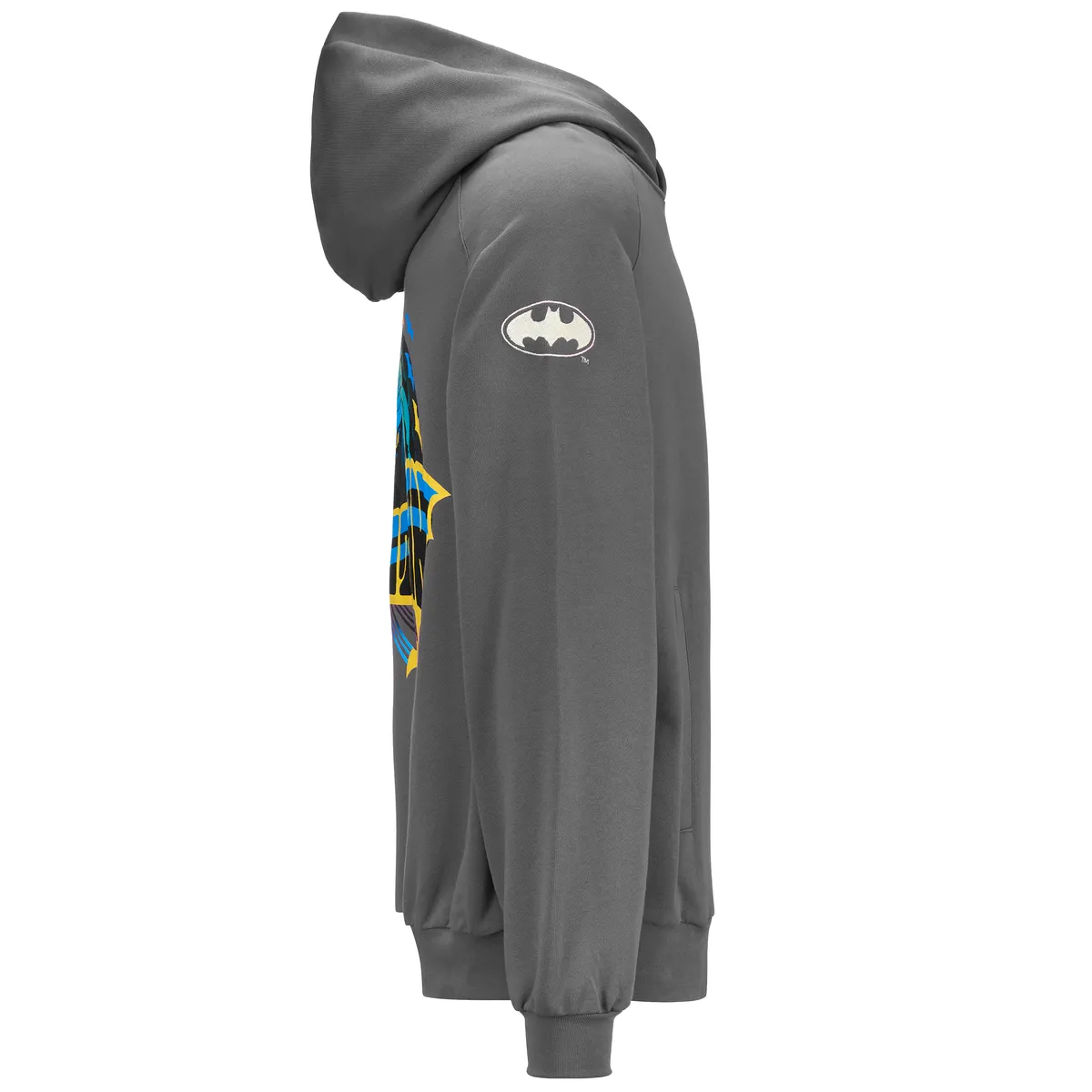 Gri Authentic Zefiro Warner Bros - Batman Erkek Gri Regular Fit Hoodie