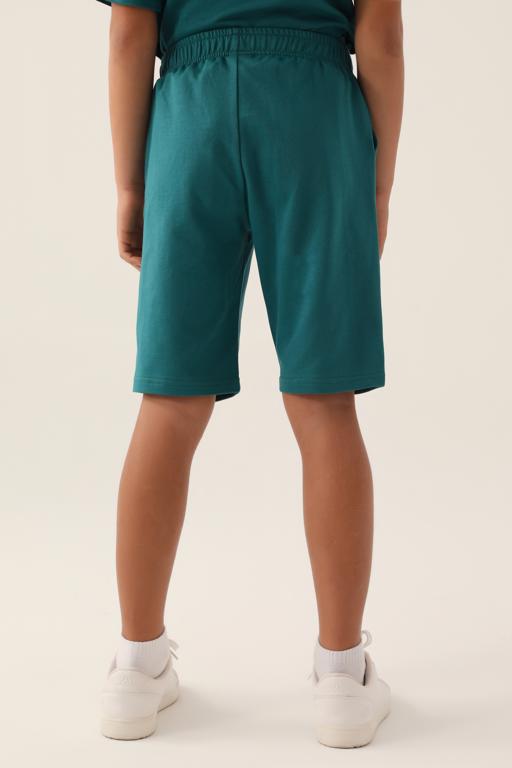 Mavi Authentic  Chaim Erkek Çocuk Mavi-Yeşil Regular Fit Şort - KAPPA® Türkiye