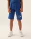 Mavi-Authentic Chase Erkek Çocuk Mavi Regular Şort
