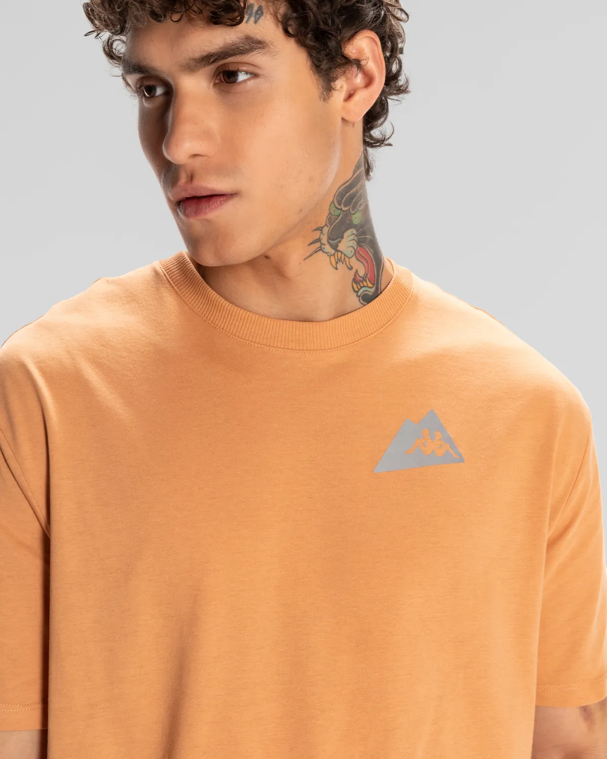 Kahverengi Frotis Erkek Camel Regular Fit Tişört