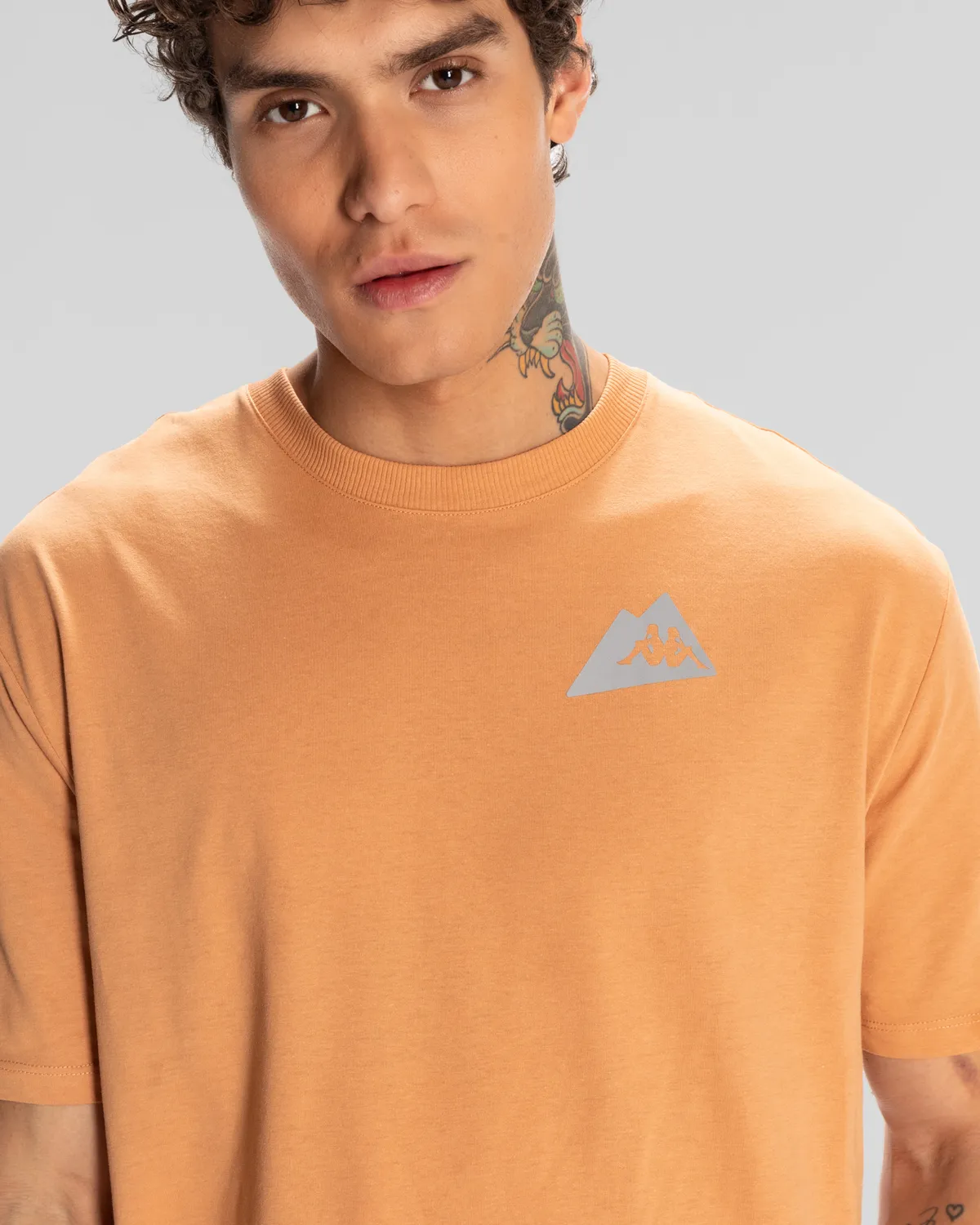 Kahverengi Frotis Erkek Camel Regular Fit Tişört