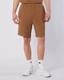 Kahverengi-Pronton Short Erkek Kahverengi Regular Fit Şort