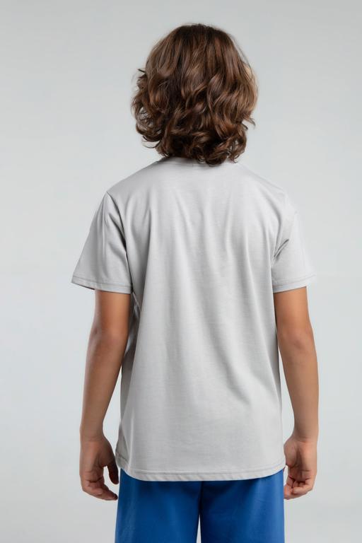 Gri Authentic Jake Erkek Çocuk Gri Regular Fit Tişört - KAPPA® Türkiye