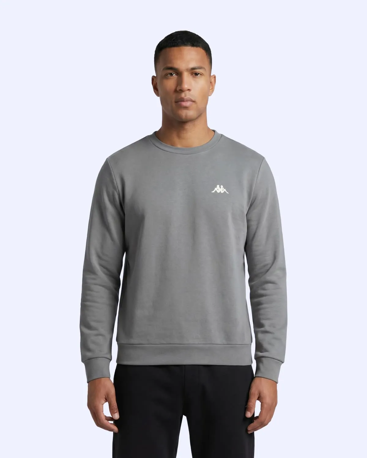 Gri Tera Crewneck Erkek Gri Regular Sweatshirt