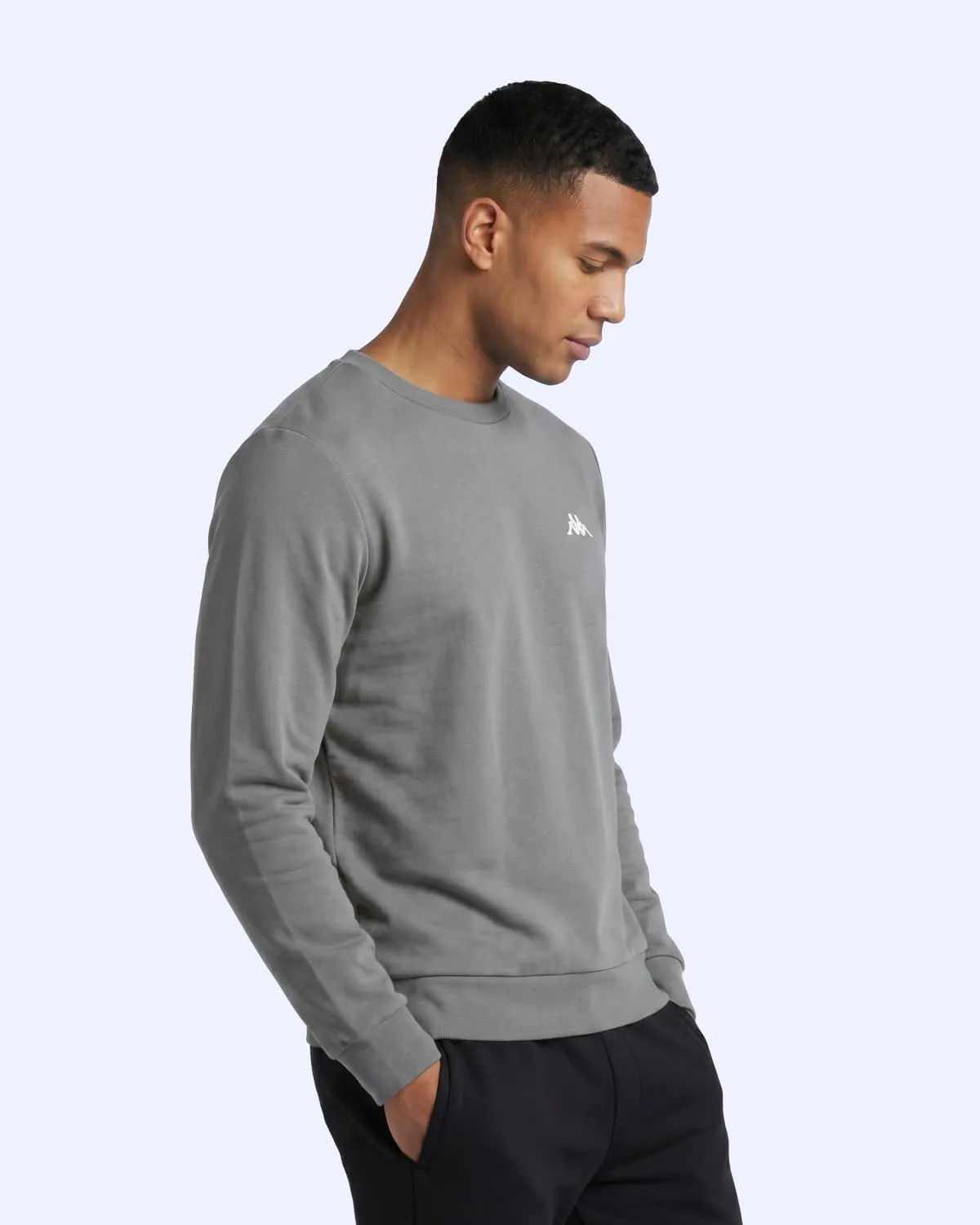 Gri Tera Crewneck Erkek Gri Regular Sweatshirt